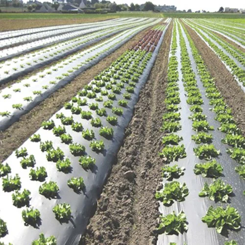 Biodegradable Mulching Plastic Agricultural Films